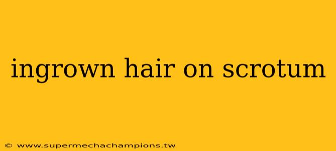 ingrown hair on scrotum