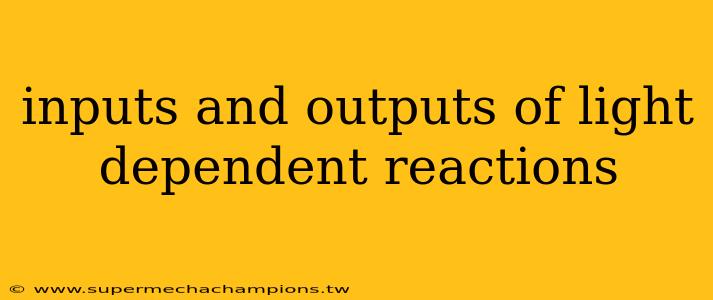 inputs and outputs of light dependent reactions