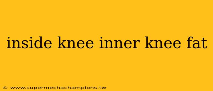 inside knee inner knee fat