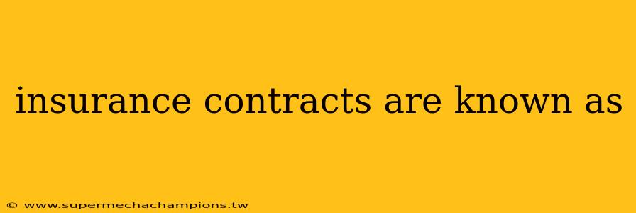 insurance contracts are known as