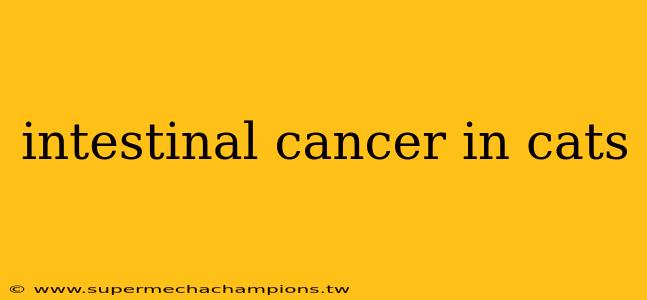 intestinal cancer in cats