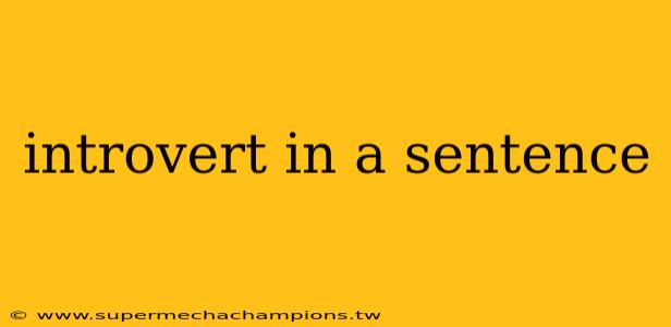 introvert in a sentence