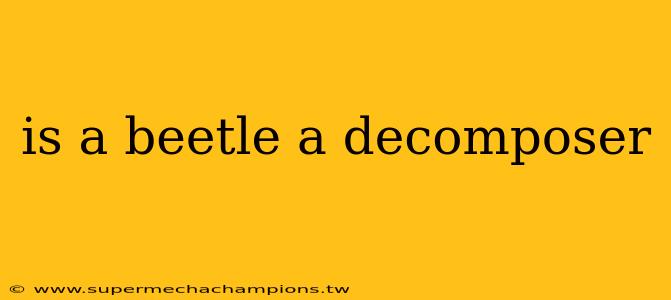 is a beetle a decomposer