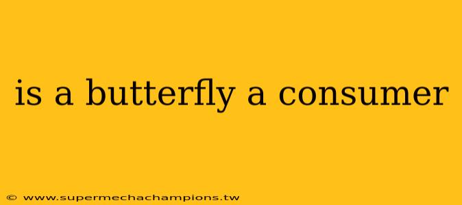 is a butterfly a consumer