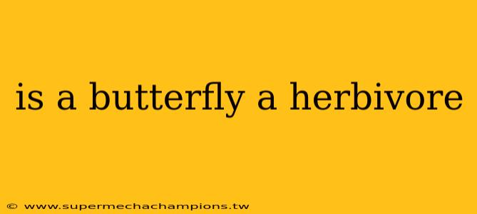 is a butterfly a herbivore