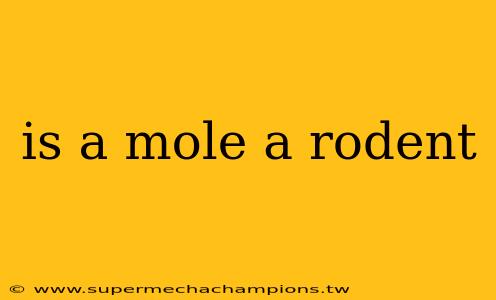 is a mole a rodent