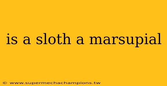 is a sloth a marsupial