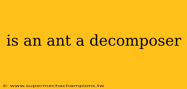 is an ant a decomposer
