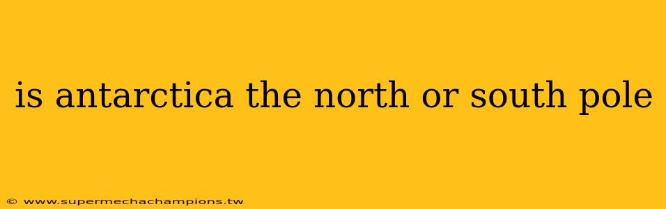 is antarctica the north or south pole