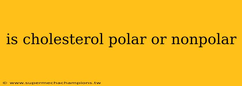 is cholesterol polar or nonpolar