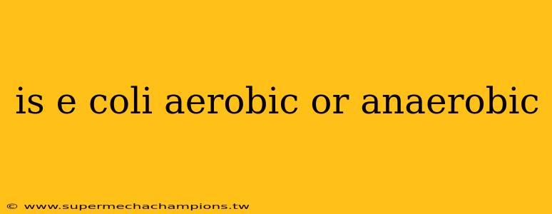 is e coli aerobic or anaerobic