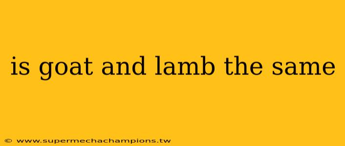 is goat and lamb the same
