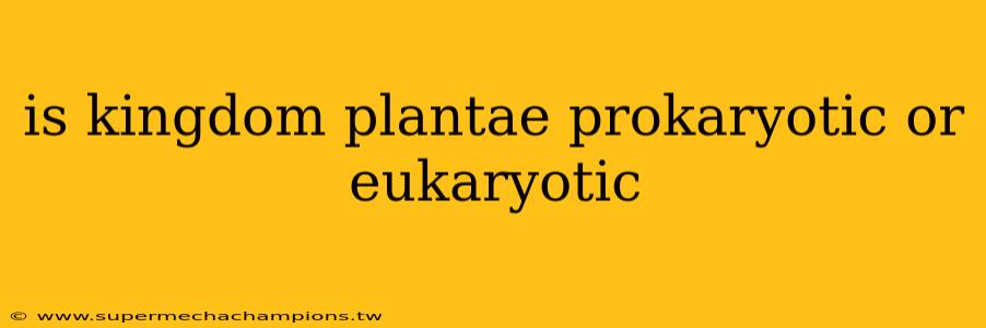 is kingdom plantae prokaryotic or eukaryotic