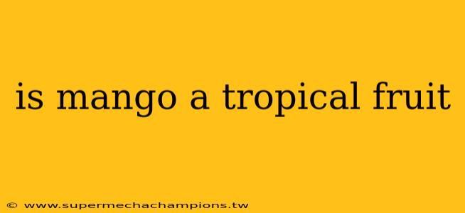 is mango a tropical fruit