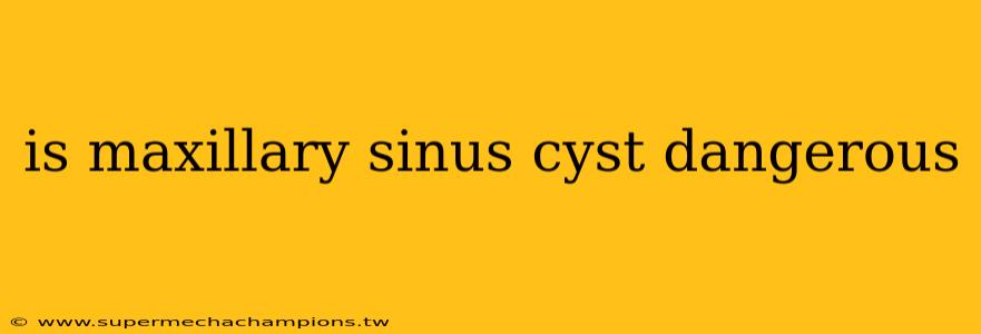 is maxillary sinus cyst dangerous