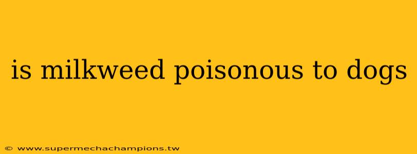 is milkweed poisonous to dogs