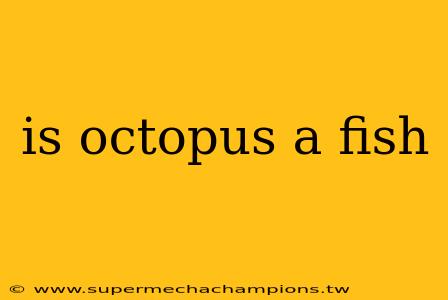 is octopus a fish