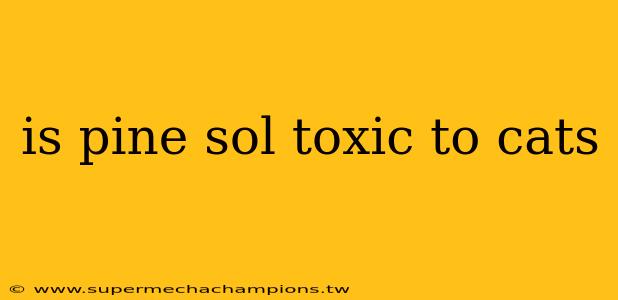 is pine sol toxic to cats