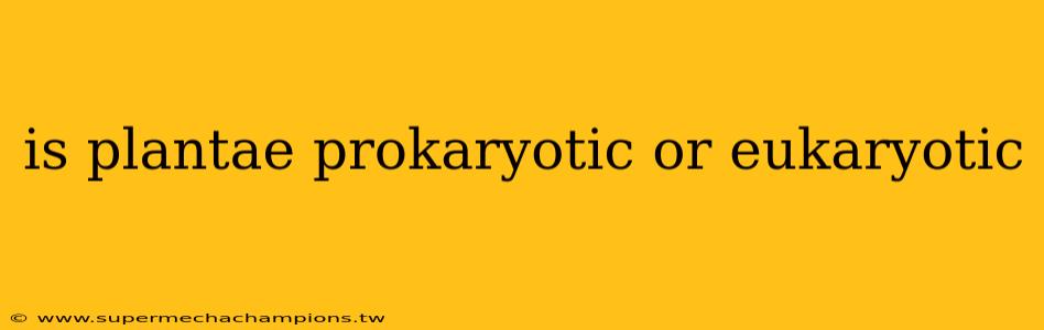 is plantae prokaryotic or eukaryotic