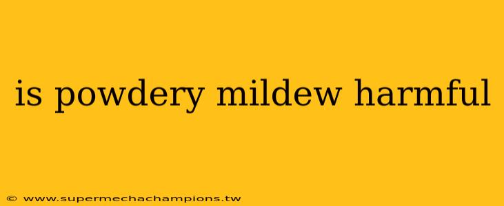 is powdery mildew harmful
