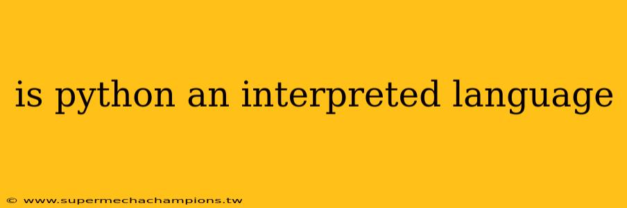 is python an interpreted language