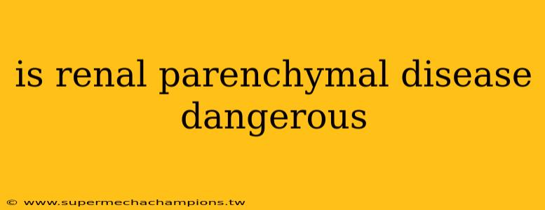 is renal parenchymal disease dangerous