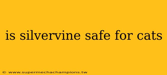 is silvervine safe for cats