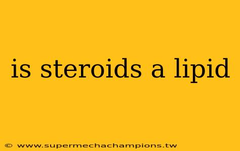 is steroids a lipid