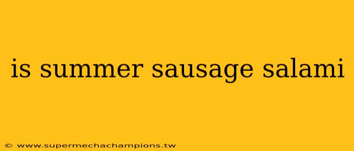 is summer sausage salami
