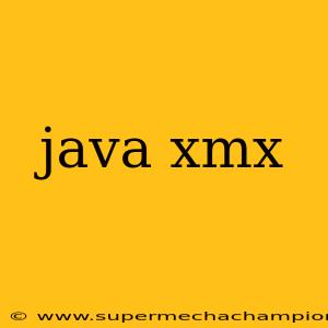 java xmx