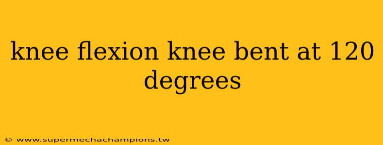 knee flexion knee bent at 120 degrees