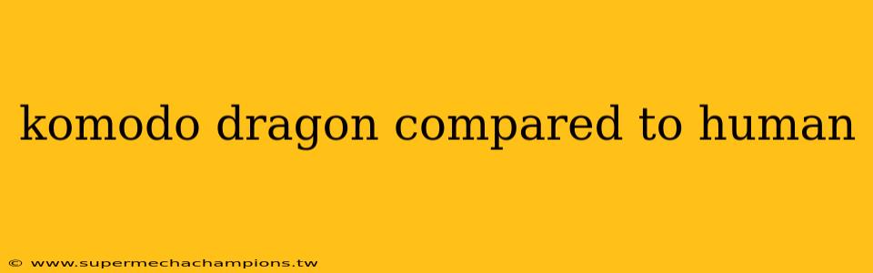 komodo dragon compared to human