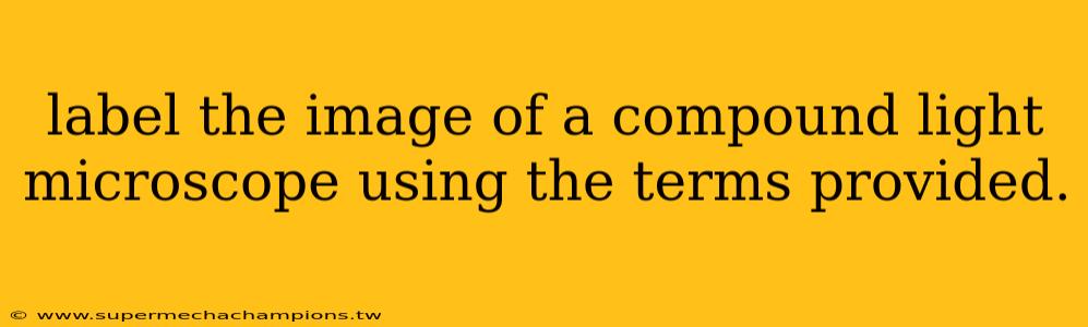 label the image of a compound light microscope using the terms provided.