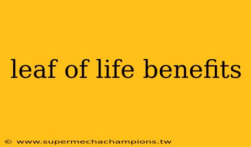 leaf of life benefits