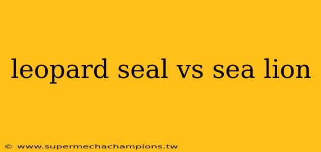 leopard seal vs sea lion