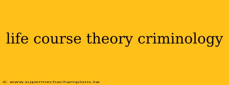 life course theory criminology