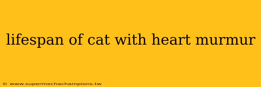 lifespan of cat with heart murmur