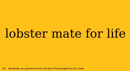 lobster mate for life