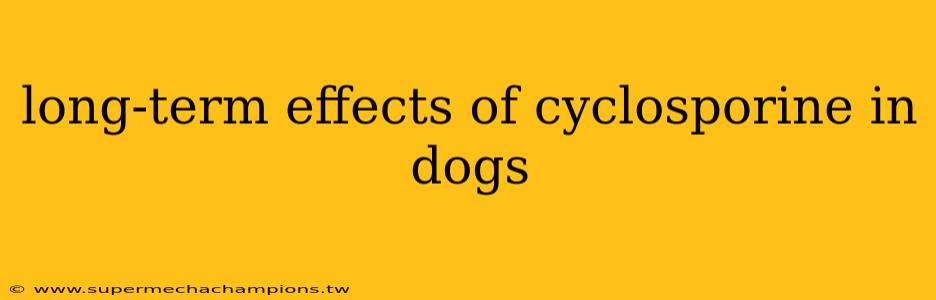 long-term effects of cyclosporine in dogs