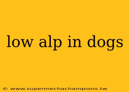 low alp in dogs