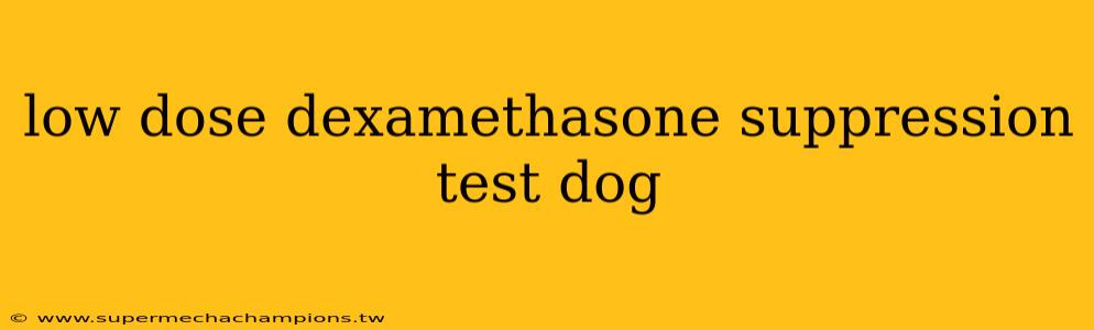 low dose dexamethasone suppression test dog