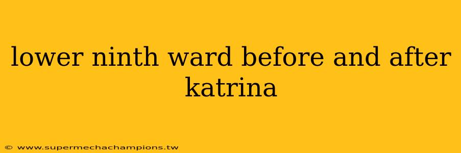 lower ninth ward before and after katrina