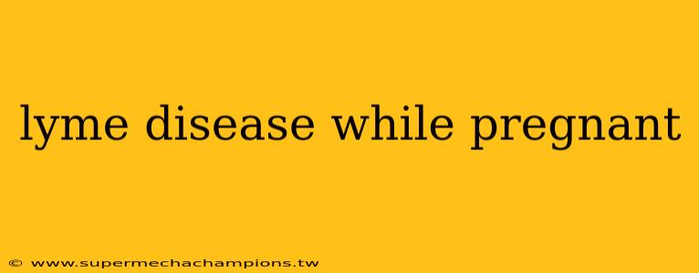 lyme disease while pregnant