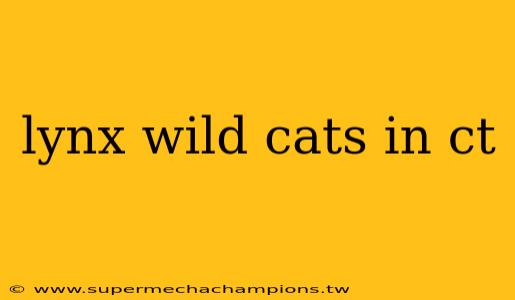lynx wild cats in ct