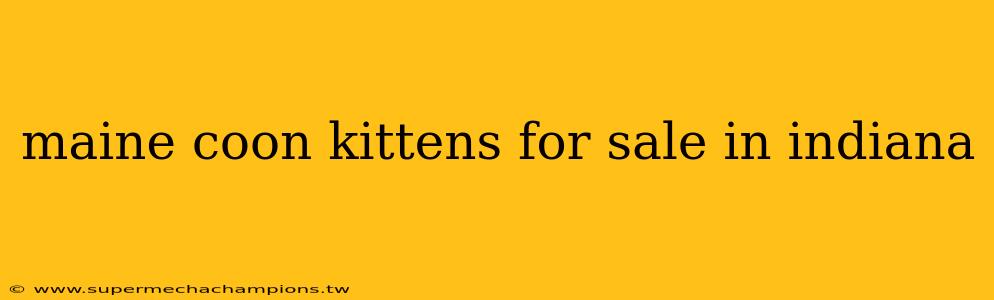 maine coon kittens for sale in indiana