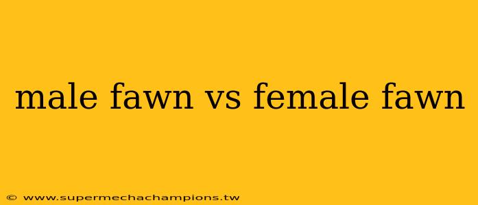 male fawn vs female fawn