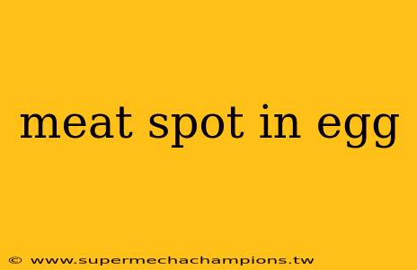 meat spot in egg