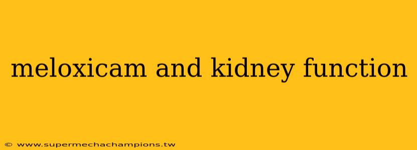 meloxicam and kidney function