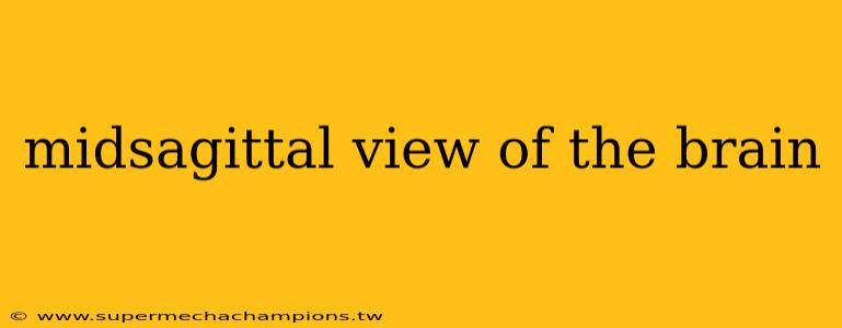 midsagittal view of the brain