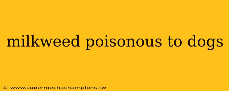 milkweed poisonous to dogs